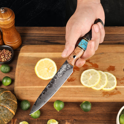 Professional universal knife C70, Damascus steel 67 layers