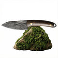 Boar - Hunting bushcraft knife