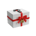 Mysterious gift