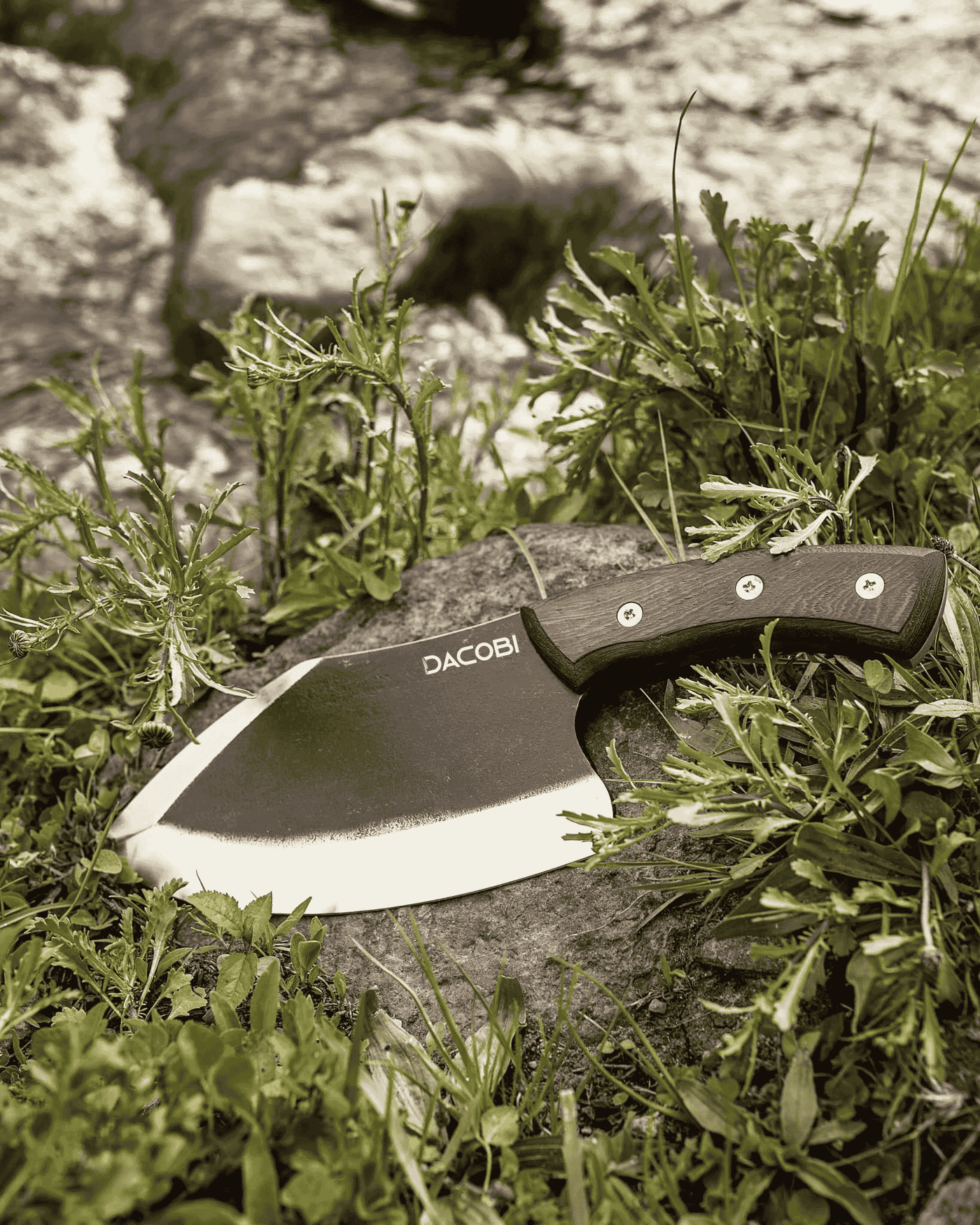 Atlas - Adventure knife